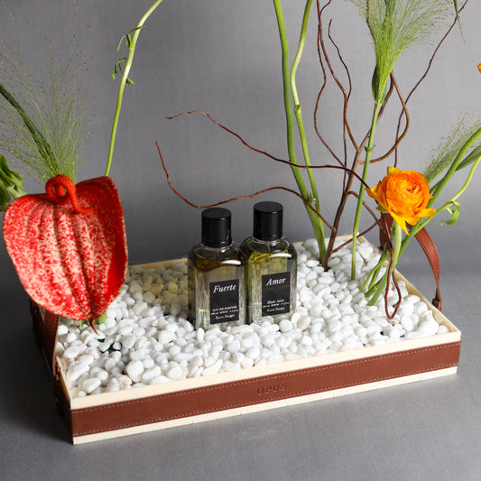 BLOOMFEST + MEN PERFUME