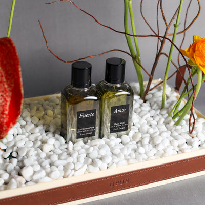 BLOOMFEST + MEN PERFUME